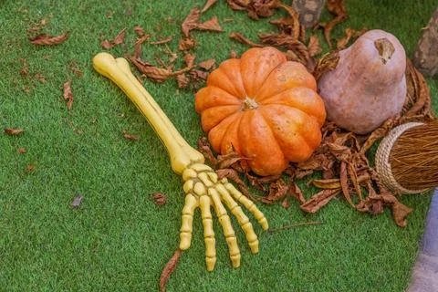 Skeleton Hand Pumpkins Halloween Stock Photos