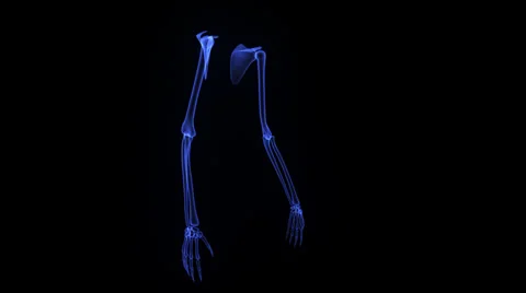 Skeleton hands Stock-Footage 39266014