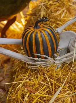 Skeleton Hands Halloween Pumpkin Stock Photos