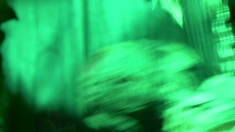 Skeleton hang up chain Stock Footage 70871057