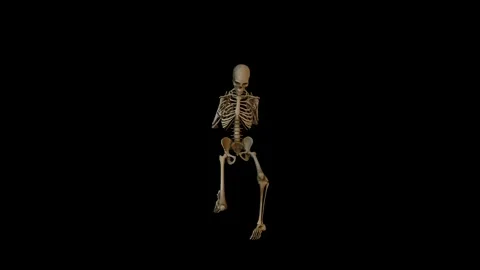 This is a skeleton that has been shown to perform magic. Video stock 325039672