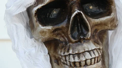 Skeleton Head Stock Footage 909057