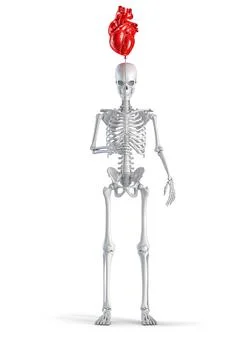Skeleton with heart balloon Stock-Illustration
