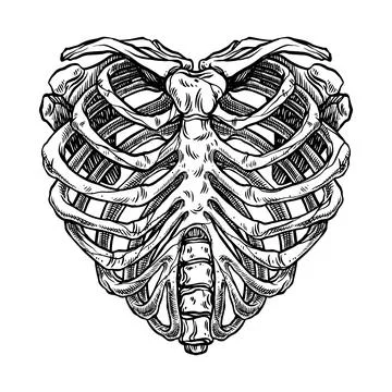 Skeleton heart shape Stock Illustration