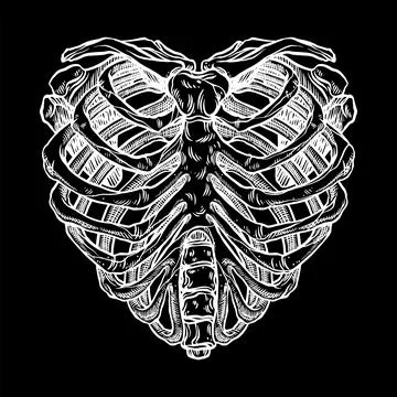 Skeleton heart shape 库存插图