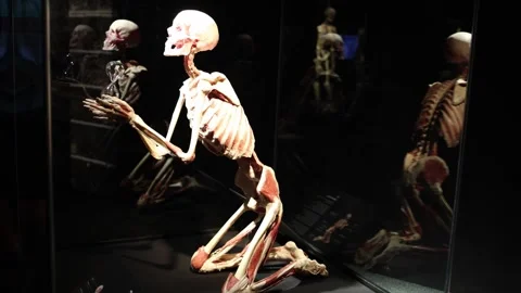 Skeleton holding hourglass time concept Stock Footage 330679618