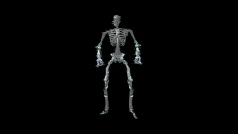 Skeleton Hologram 01 Stock Footage 248789039