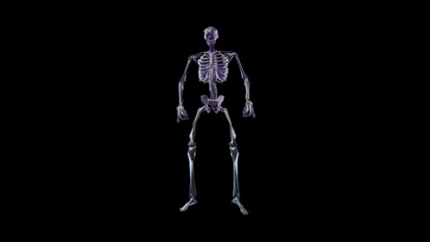 Skeleton Hologram 02 Stock Footage 248789081
