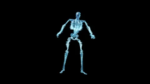 Skeleton Hologram 04 Stock Footage 248789112