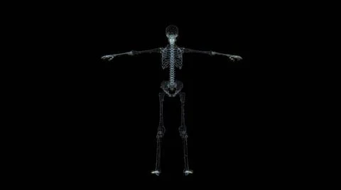 Skeleton Hologram Wireframe. Nice 3D Render on a black background 스톡 일러스트