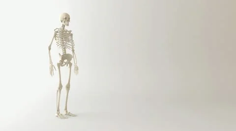 Skeleton human Video stock 21363855