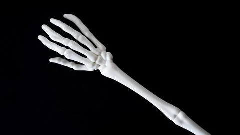 Skeleton of human hands on an black background, top view, copy space. Halloween 写真素材