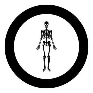 Skeleton human icon in circle round black color vector illustration image sol Stock Illustration