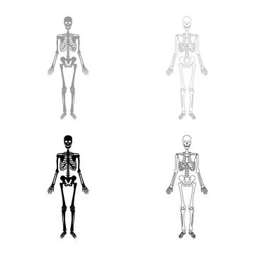 Skeleton human set icon grey black color vector illustration image solid fill Stock Illustration