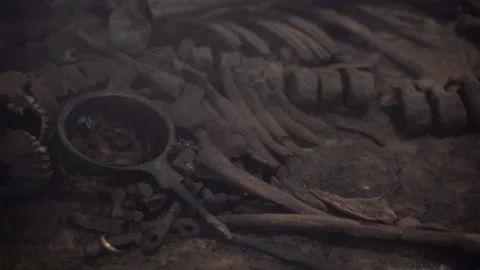 Skeleton. The human skeleton lies in the Museums of the History of Denmark. Stock Footage 236346239