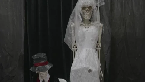 Skeleton husband and bride Stock Footage 288050415