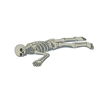 Skeleton Stock-Illustration