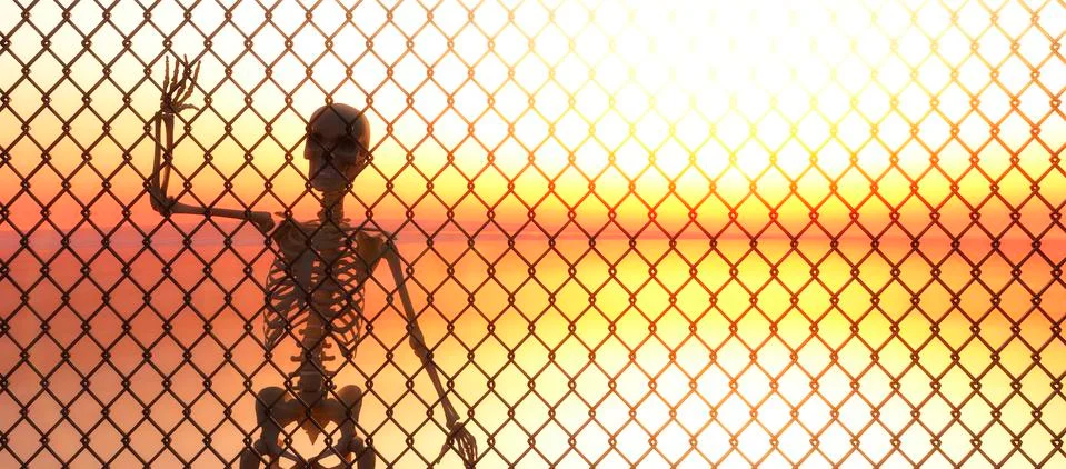 Skeleton Stock Illustration