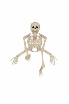Skeleton Stock Illustration