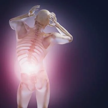 Skeleton inside transparent man with back pain Stock-Illustration