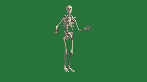 A skeleton isolated on green screen background Vídeos de archivo 336954967