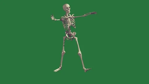 A skeleton isolated on green screen background Vídeo Stock 336954999