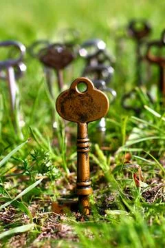 Skeleton keys Stock Photos