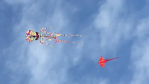 Skeleton Kite flying 動画素材 143049010