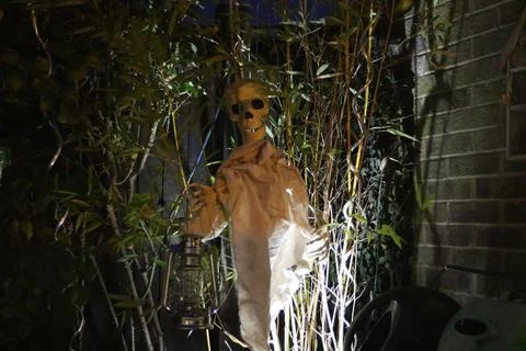 Skeleton with lantern, Stock Photos