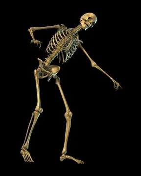 Skeleton Laughing and Pointing Stock Illustration