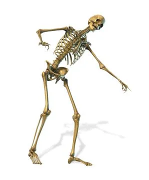 Skeleton Laughing and Pointing Stock Illustration