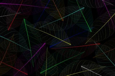 Skeleton leaf abstract background Stock Photos