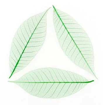 Skeleton leaf background as a recycle sign Stock Photos
