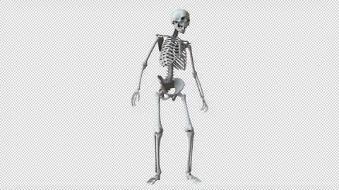 Skeleton Looking Around Fast Stock Footage 265085750