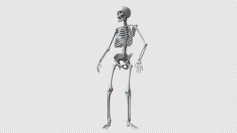 Skeleton Looking Around Slowly 02 Stock Footage 265085801