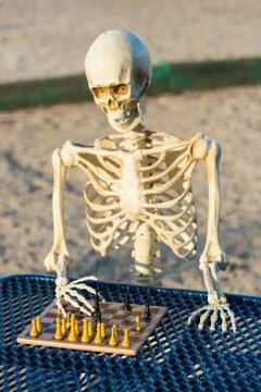 Skeleton making his move in chess Stock Photos