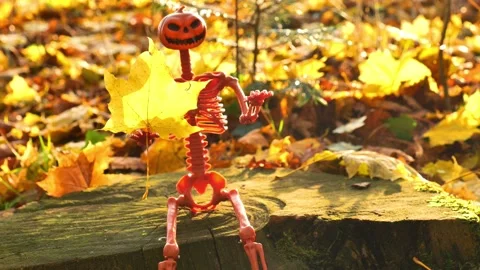 Skeleton with maple yellow leaf in hand on autumn sunny forest background Stock Footage 309658114