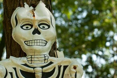 Skeleton mask close up Stock Photos