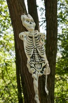 Skeleton mask Stock Photos