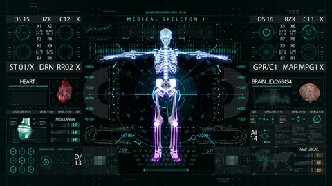 Skeleton medical HUD interface display Vídeo Stock 172224203