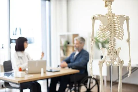 Skeleton model in doctor's office during patient's checkup Stock Photos