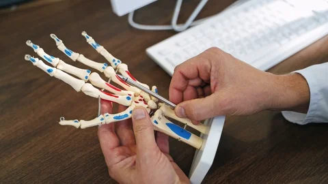 Skeleton model of a hand. Specialist showing the work of hand Stock Footage 121708332