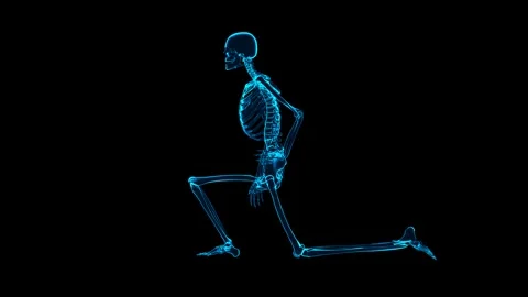 Skeleton Model: Hip Flexor Stretch Exercise (Side View, Hologram) Stock Footage 338240145