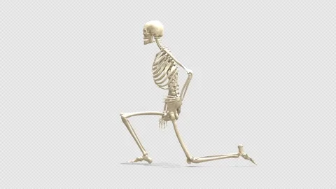Skeleton Model: Hip Flexor Stretch Exercise (Side View, Alpha) Stock Footage 338335422