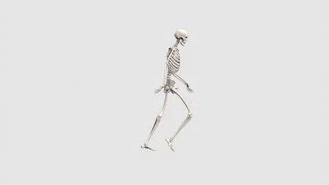 Skeleton moonwalk – 3d render with alpha channel. Stock Footage 167511733