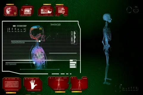 Skeleton - Multi Interface Scan - red 01 Stock Footage 68614048