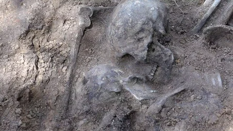 Skeleton or Human Remains 2 Stock Footage 95112557