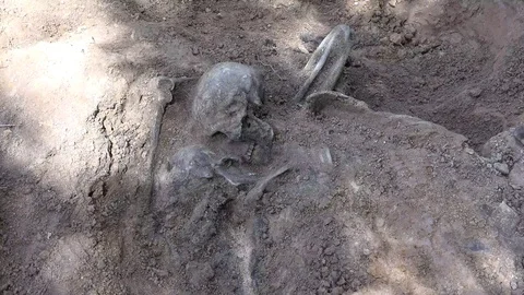 Skeleton or Human Remains 3 Stock Footage 95112552