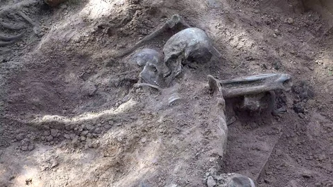 Skeleton or Human Remains 4 Stock Footage 95112571