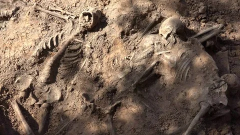 Skeleton or Human Remains 9 動画素材 95112510
